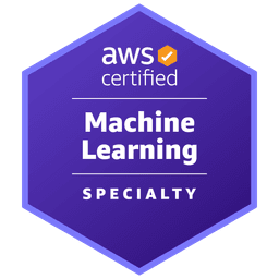 AWS ML Engineer